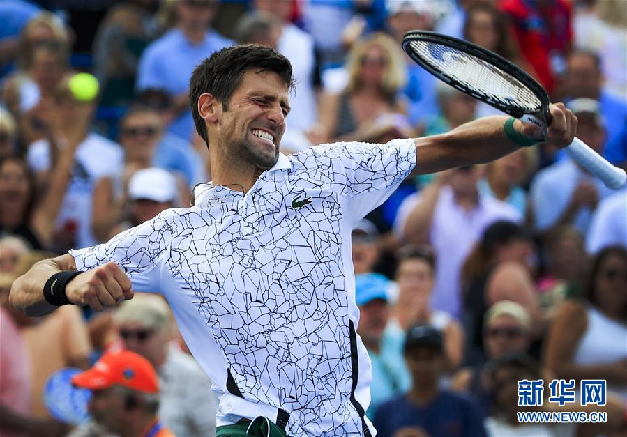 南宫28-莱万多夫斯基连续十二场比赛得分超过问鼎冠军，塞尔维亚队挑战极限！的简单介绍